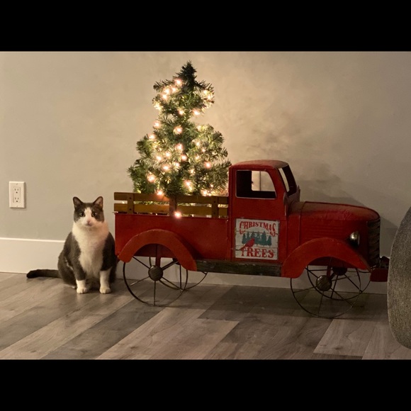 Meet your Posher, Amanda - Picture 1 of 1